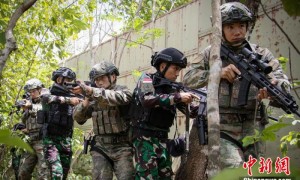 中印尼“和平神鹰-2024”联演  展开灾害救援实兵演练