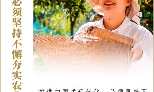 看图学习丨强国必先强农 总书记心系“三农”工作