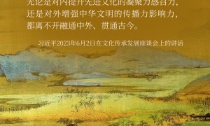 团圆年丨推动中华优秀传统文化走出去