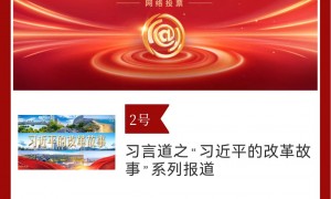 2024中国正能量！中新网20件作品等你投票