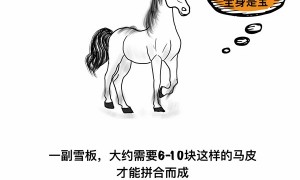 小石榴说科普丨亚冬会冠军儿时同款！长毛又带皮的滑雪板你见过吗？