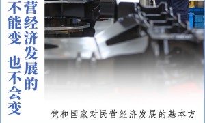 看图学习丨大显身手正当其时 总书记为民营企业鼓劲