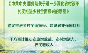 2025年中央一号文件发布