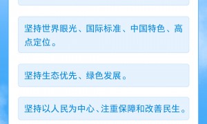 奋进的春天丨“一座高水平现代化城市正在拔地而起，堪称奇迹”