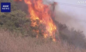 日本多地发生山火 已对超2700人发出避难指示