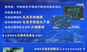 重磅报告：铁线礁退化真相曝光，谁在南海“下毒手”？| 图览天下