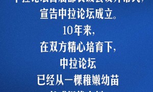 习言道｜公平正义是我们的共同追求