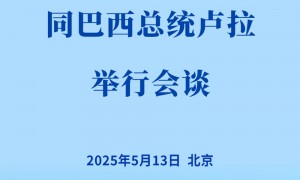 新华社权威快报 | 习近平同巴西总统卢拉会谈