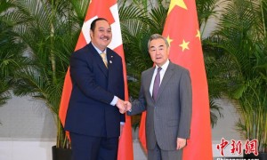王毅会见汤加王储兼外交大臣图普托阿