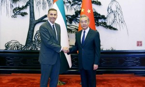 王毅会见阿联酋总统中国事务特使哈勒敦