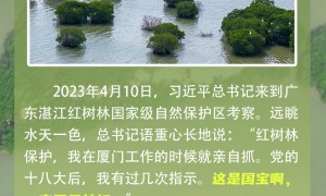 【讲习所·中国与世界】“人不负青山，青山定不负人”
