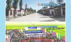 习近平总书记关切事｜我们的名字叫“长江”——三个沿江村庄的变迁故事