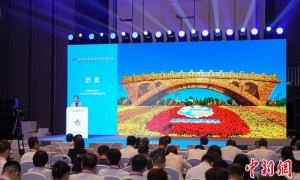 全国政协委员舒勇：成功的国际传播需构建强大的“情感矢量”