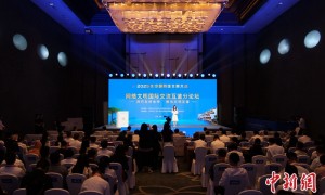 2025年中国网络文明大会网络文明国际交流互鉴论坛在合肥举行