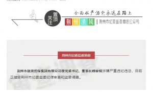 湖北省荆州市融资担保集团有限公司原党委书记、董事长颜家银接受审查调查