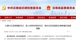 云南大理州云龙县委副书记、县人民政府党组书记、县长白庆武接受审查调查