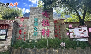 【央视快评】切实维护好民族团结 创造更加幸福美好的生活