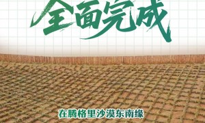宁夏境内腾格里沙漠锁边全面完成