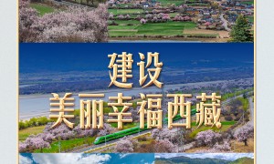 习言道 | 这个“桃花源”，习近平牵挂在心