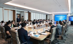 中英健康创新平台首次工作会议在京召开 开启跨境产业合作新篇章
