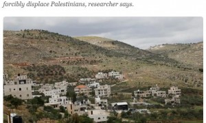 以军大规模拔除巴勒斯坦橄榄树