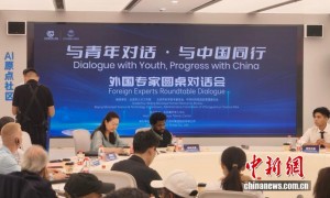 一句“你好”能走遍中国：中国政府友谊奖外籍专家与国际青年对话