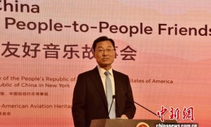 “感知中国—中美民间友好音乐故事会”在华盛顿举行