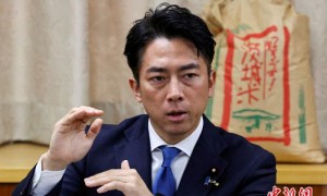 日媒：小泉进次郎将参选自民党总裁