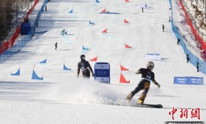 国际雪联单板滑雪平行大回转世界杯美林站首日诞生两块金牌