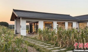 （聚焦中国高质量发展）希望田野飘出咖啡香 浙江乡村如何“永旺”