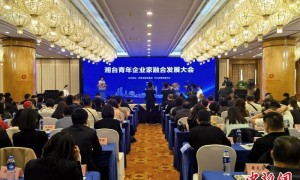 湘台青年企业家融合发展大会在长沙举行
