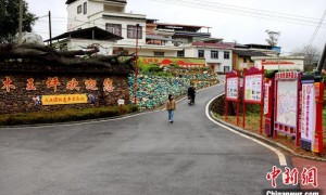 广西蒙山夏宜瑶族乡推动“三治融合” 谱写民族团结新乐章