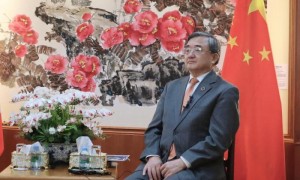 刘振民：深化中国与东盟能源合作应对气候变化挑战