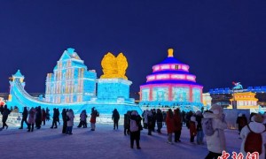 （新春走基层）冰雪文旅贺新春 “双亚冬之城”哈尔滨年味浓