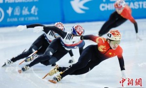 （哈尔滨亚冬会）综合消息：中国军团日夺8金 韩国队摘赛会首金