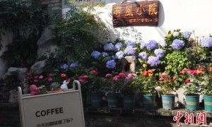 上海乡村“留量”密码：特大型城市的乡村如何展开农业现代化的田园新叙事？