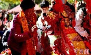 （新春见闻）为5万斤“米龟”点睛  两岸民众携手“乞龟”