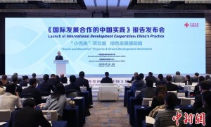 《国际发展合作的中国实践》发布“小而美”项目篇、绿色发展援助篇