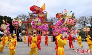 武汉高龙时隔七年再赴台湾庆元宵