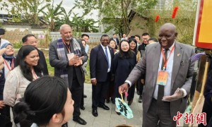 十国驻华外交官参访广西玉林 冀深化合作