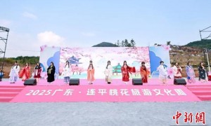 2025广东·连平桃花旅游文化周开幕
