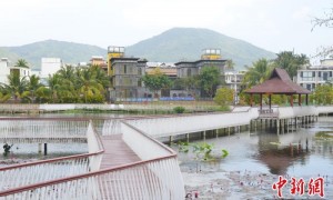 苏少洪代表：依托非遗传承 带领黎乡振兴