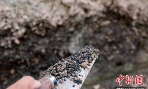 南佐遗址水稻遗存从何而来？研究称黄土高原五千年前气候适合种植