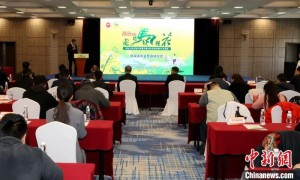 中国·汉中2025年“走马观花”首届马术耐力赛启动