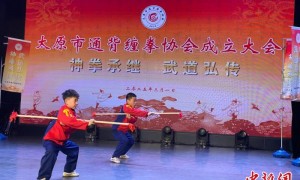 山西通背缠拳：“圈粉”展魅力 求变冀新生
