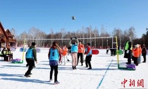 2025年黑龙江省雪地气排球巡回赛收官