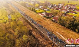 3500人“跑”进金色油画 湖南南县花海马拉松飘起小龙虾香