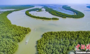 广东省关注森林活动组委会成员单位增至14家