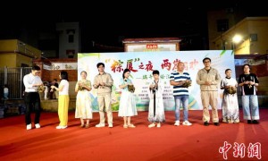 两岸同胞厦门共享端午民俗汇