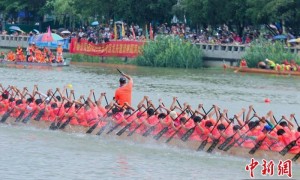 近30支广佛龙舟队竞渡沙溪 演绎水上速度与激情
